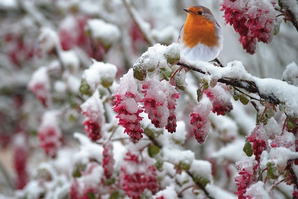 Kuukausiaiheinen kuva